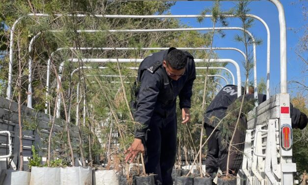 Dona Parques y Jardines 300 árboles a la Guardia Nacional