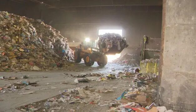 Encuentran anillo perdido en la basura