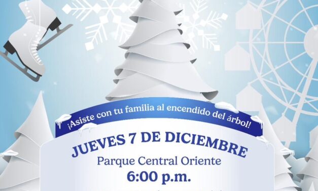 Se enciende Árbol de Navidad en el Parque Central