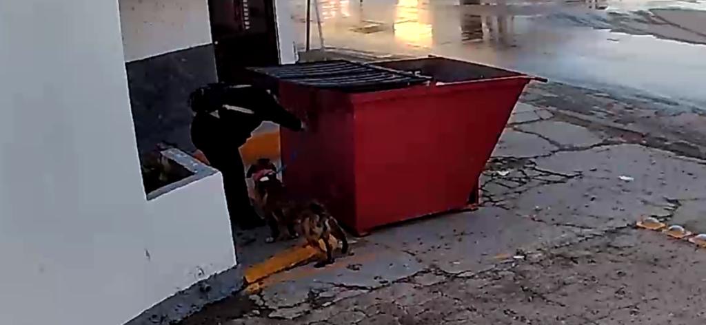 Dejan amarrado a perrito de un contenedor al exterior de Bienestar Animal