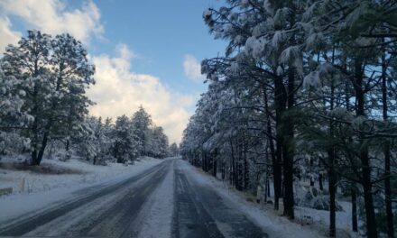 Continúan cuatro tramos carreteros cerrados por congelamiento: CEPC