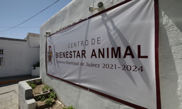 Cambia Departamento de Bienestar Animal de encargado