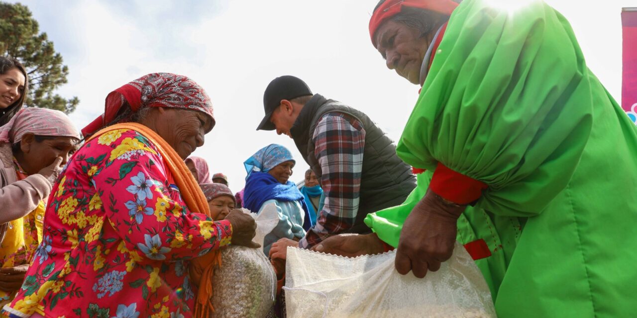 Estrategia “Juntos por la Sierra Tarahumara” beneficia a 5 mil familias en Guachochi