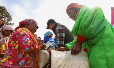 Estrategia “Juntos por la Sierra Tarahumara” beneficia a 5 mil familias en Guachochi