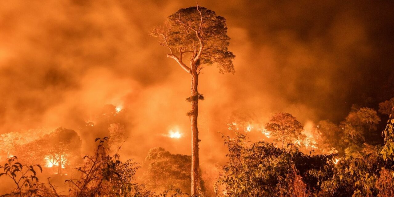 A un día de terminar febrero, Amazonia rompe récord de incendios