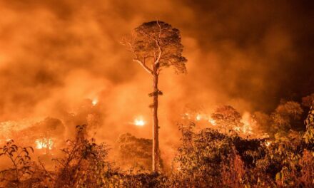 A un día de terminar febrero, Amazonia rompe récord de incendios