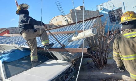 Protección Civil atiende 14 servicios de emergencia relacionados con los fuertes vientos