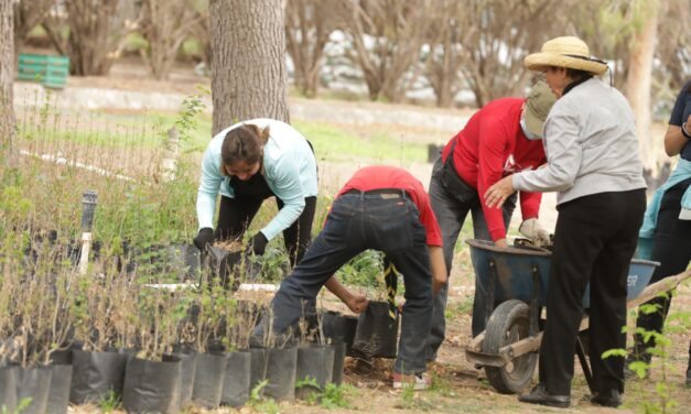 Se suman más de 100 ciudadanos a jornada de voluntariado en el vivero de El Chamizal