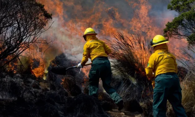 Dejan incendios forestales cuatro personas sin vida