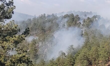 Emite Protección Civil Estatal recomendaciones para prevenir incendios forestales