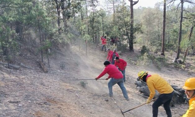 Refuerzan acciones de prevención de incendios forestales ante inicio del periodo vacacional