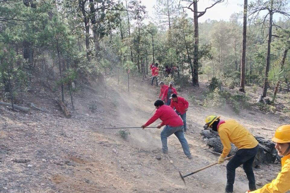 Refuerzan acciones de prevención de incendios forestales ante inicio del periodo vacacional