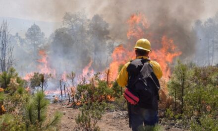Suman más de 100 incendios forestales en la entidad en lo que va del año