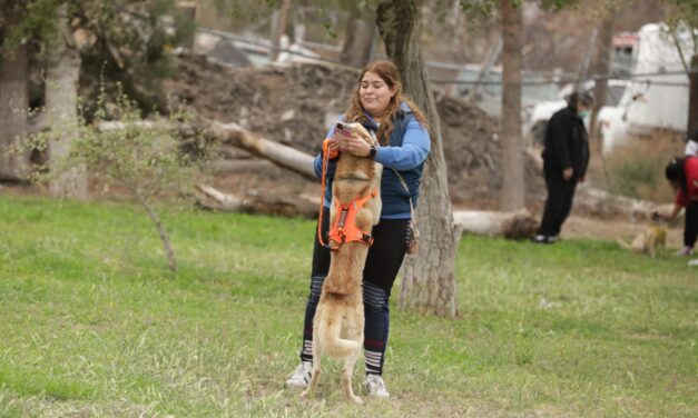 Recomendaciones para el cuidado de mascotas en el calor