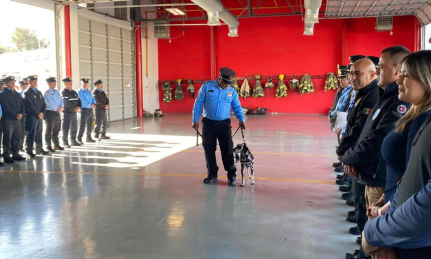 “Marshall”, el nombre de la mascota de los bomberos