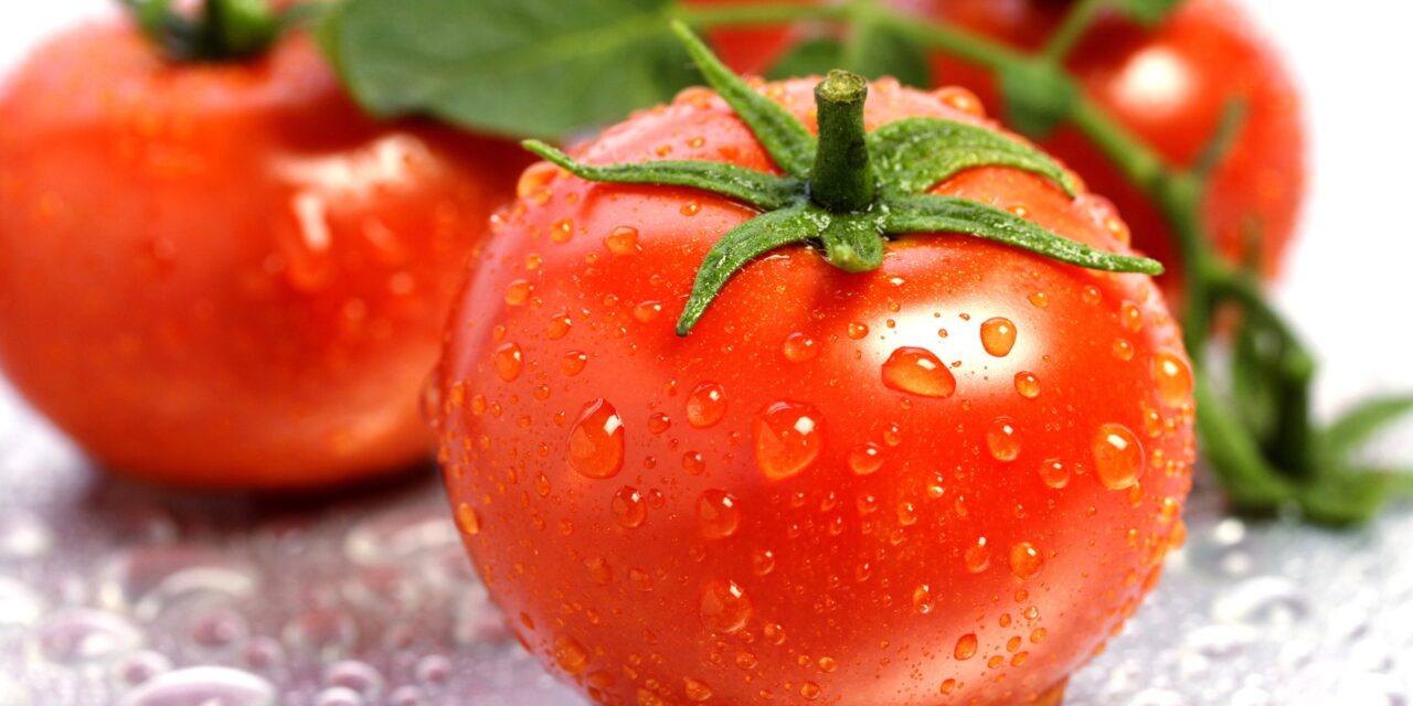 Consumo de tomate podría prevenir el cáncer de páncreas y de próstata