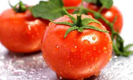 Consumo de tomate podría prevenir el cáncer de páncreas y de próstata