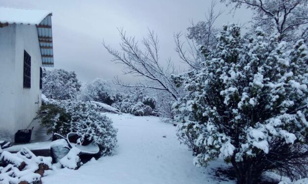 Reporta CEPC caída de nieve en 3 municipios ante el desplazamiento de la Novena Tormenta Invernal