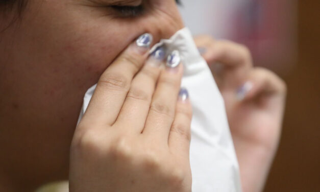 Recomendaciones para reducir alergias