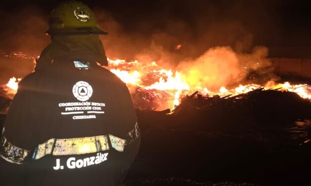 Contienen cuerpos de emergencia incendio en aserradero de Madera