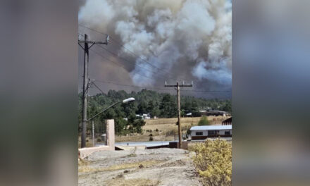 Alerta Protección Civil por cierre de tramo carretero en Guachochi por incendio forestal