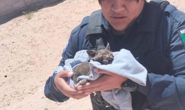 Policías salvan a familia de incendio