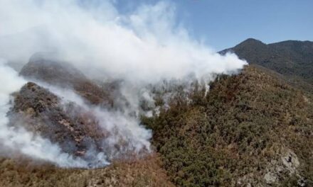Permanecen activos 13 incendios forestales en la sierra; 200 brigadistas los combaten