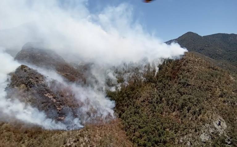 Permanecen activos 13 incendios forestales en la sierra; 200 brigadistas los combaten