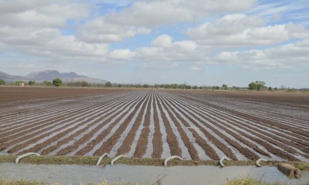 Cerca de acabarse en julio el volumen de agua concesionado para riego; ya se consumió el 60%