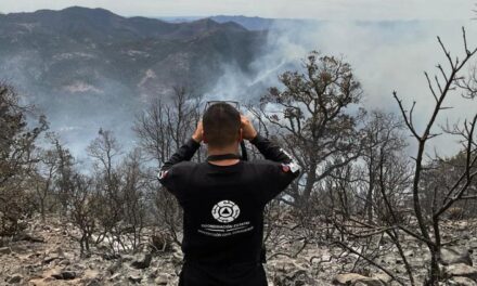Controlados al 100% incendios de Temósachic tras dos semanas: Conafor