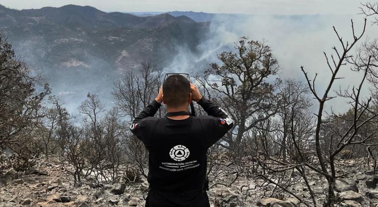 Controlados al 100% incendios de Temósachic tras dos semanas: Conafor