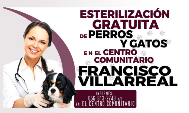 Esterilizará Gobierno Municipal a 5 mil perros y gatos