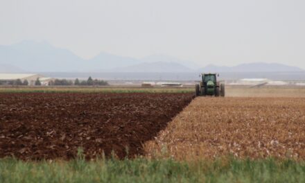 Adquiere Desarrollo Rural seguro contra la sequía para más de 43 mil hectáreas de maíz, frijol y avena