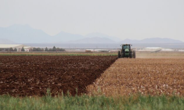 Adquiere Desarrollo Rural seguro contra la sequía para más de 43 mil hectáreas de maíz, frijol y avena