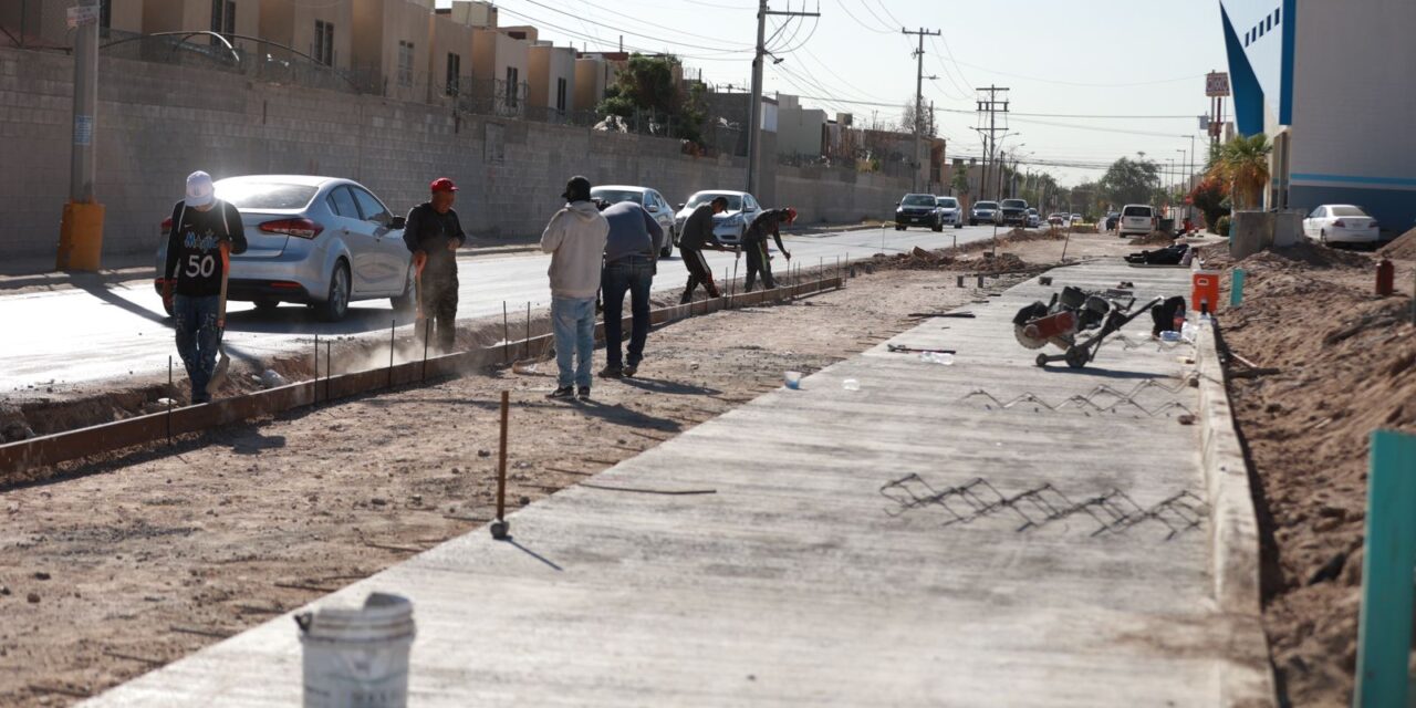 Trabaja Obras Públicas en la pavimentación de la calle Camino San Carlos