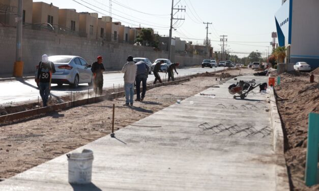 Trabaja Obras Públicas en la pavimentación de la calle Camino San Carlos