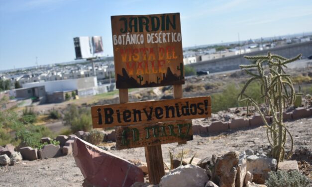 Buena respuesta en la jornada de voluntariado en Vista del Valle