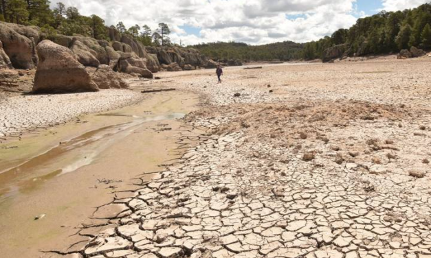 Lago de Arareko agoniza por la sequía; su margen retrocedió decenas de metros