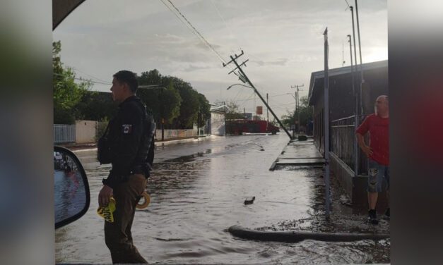 Informa Protección Civil incidencias ocasionadas por fuertes precipitaciones en Ascensión y Madera