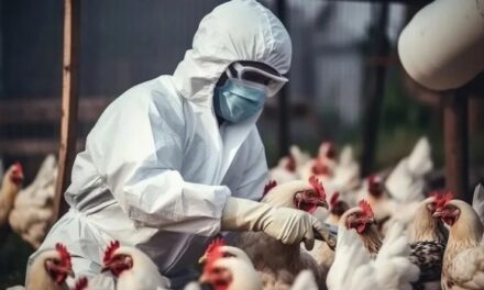 Muerte de paciente en México no es por gripa aviar: OMS
