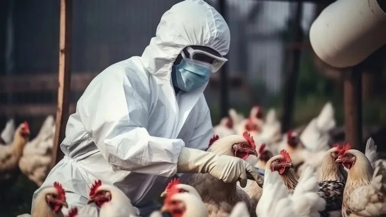 Muerte de paciente en México no es por gripa aviar: OMS