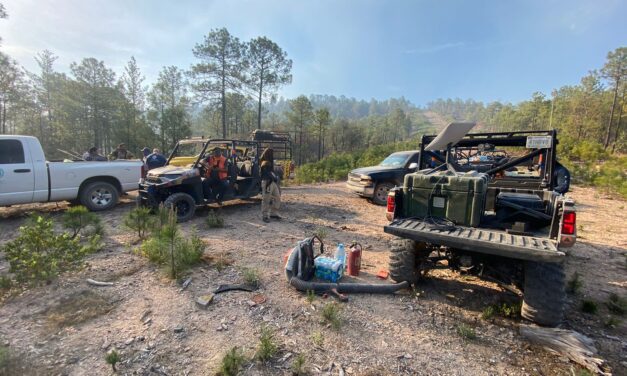 Implementa Protección Civil acciones preventivas en comunidades de Bocoyna ante presencia de incendios forestales