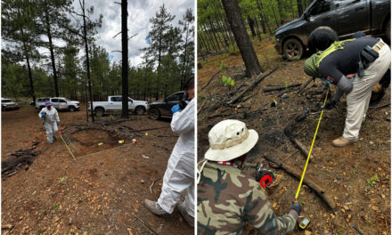 Aseguran autoridades restos óseos en el ejido “El Dos” en Madera