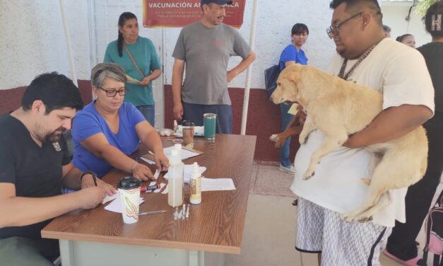 Continúa mañana programa de esterilización en Fovissste Chamizal