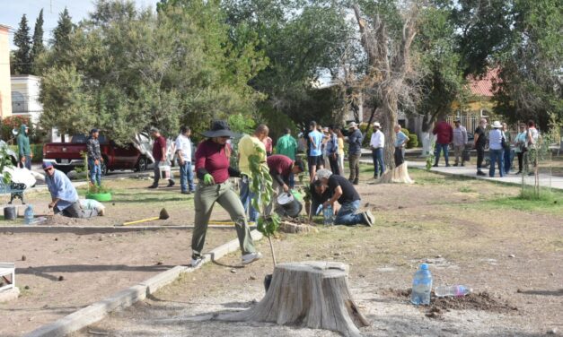 Plantan 35 árboles en la colonia Monumental