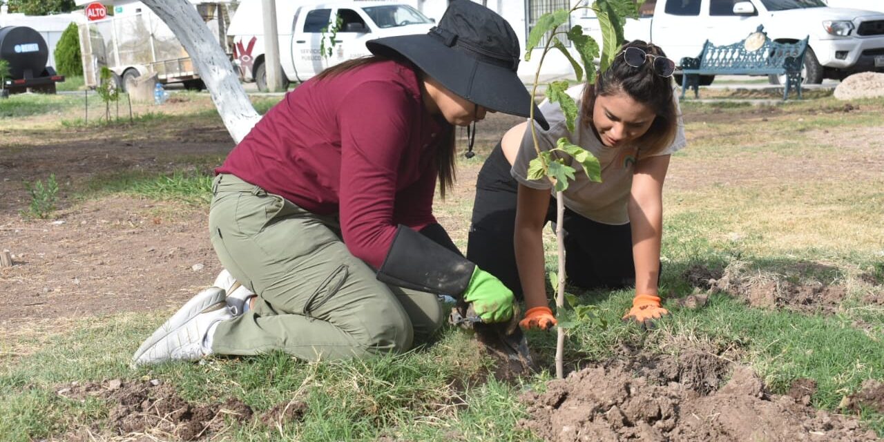 Plantan 35 árboles en la colonia Monumental