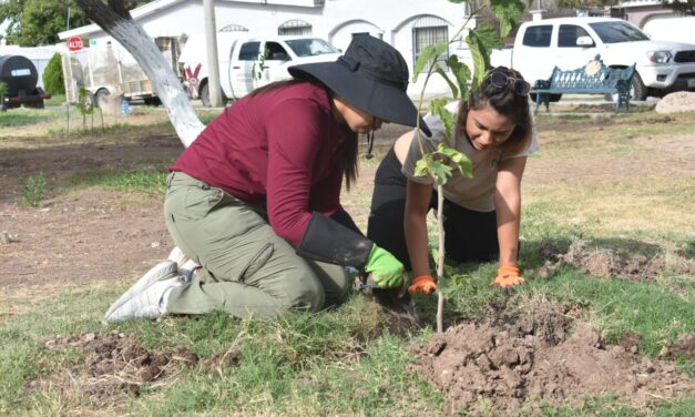 Plantan 35 árboles en la colonia Monumental