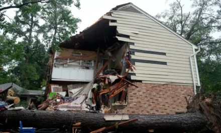 ‘Beryl’ deja al menos 4 muertos y 2 millones de hogares sin electricidad a su paso por el sur de Texas