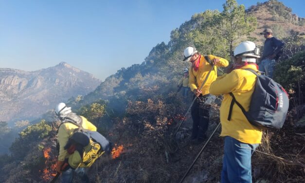 Estrategias de combate y lluvias liquidan incendios forestales en Chihuahua