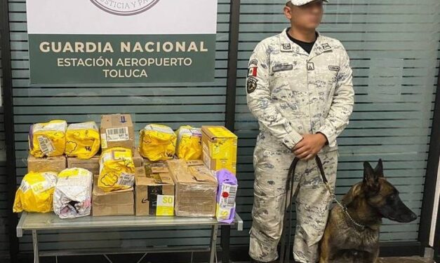 Detienen 18 paquetes con marihuana enviados a Chihuahua y otros estados